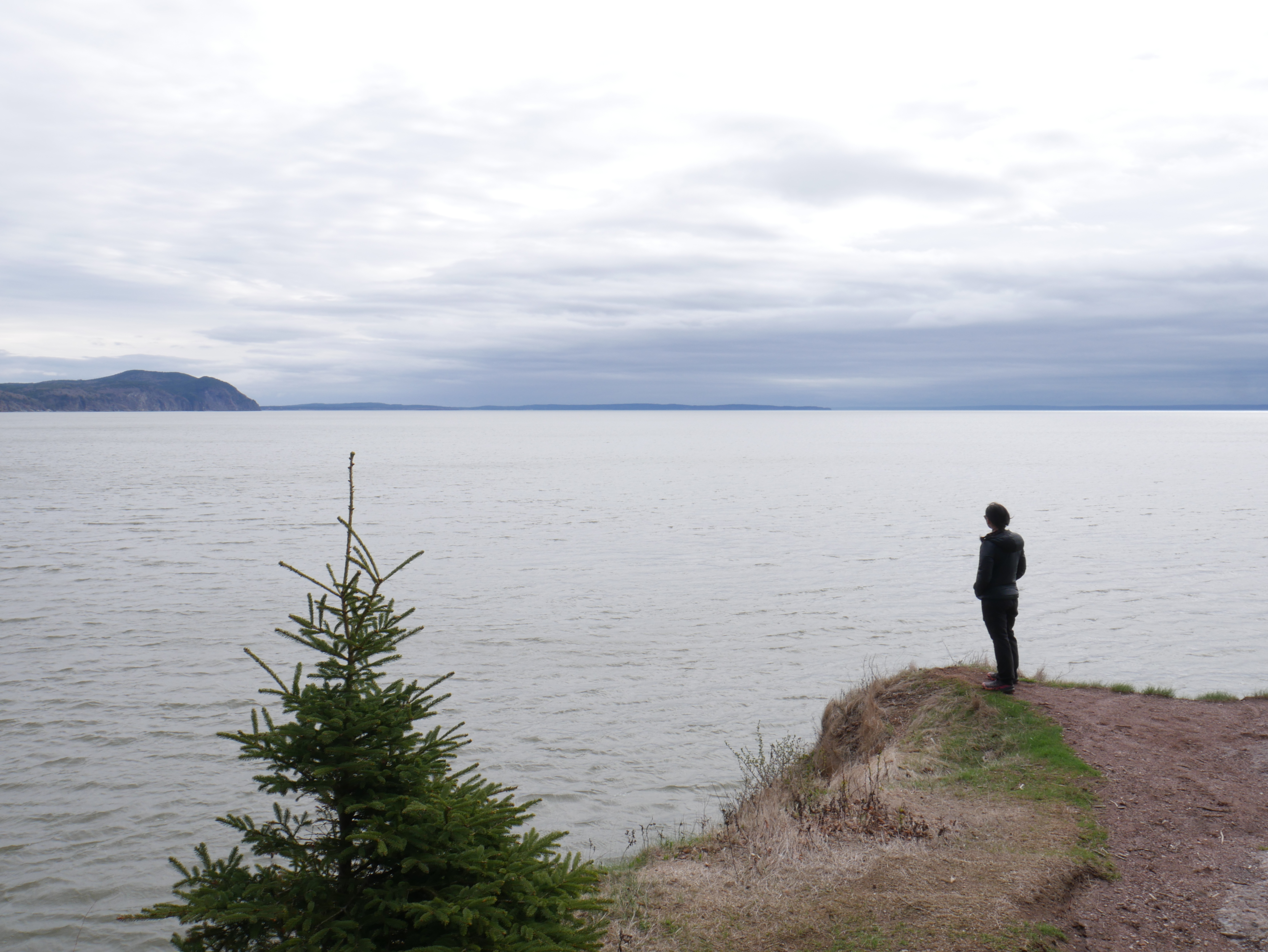standing on the dangerous cliff